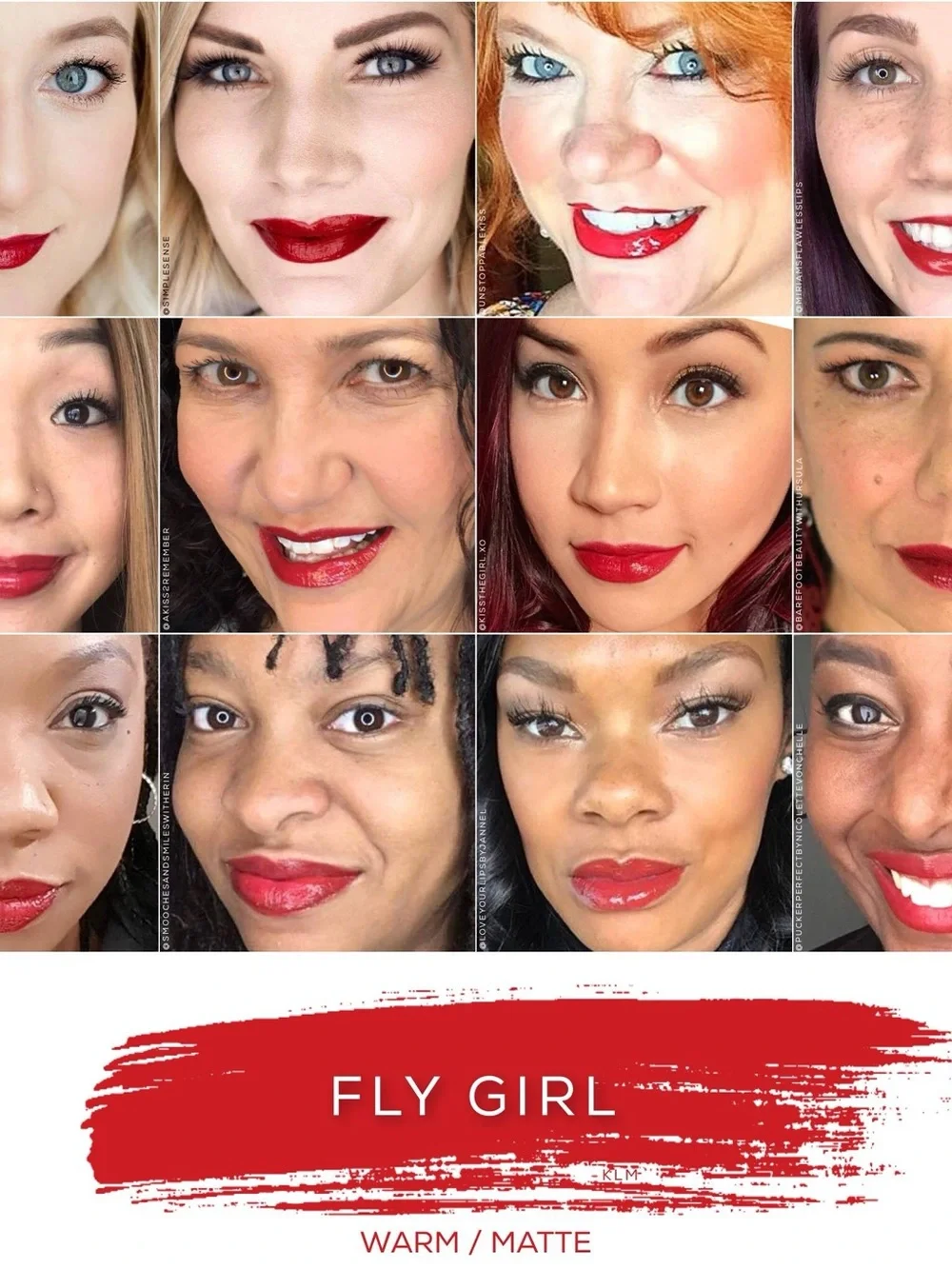 Lipsense by SeneGence new never opened full sized long lasting lipstickFly Girl